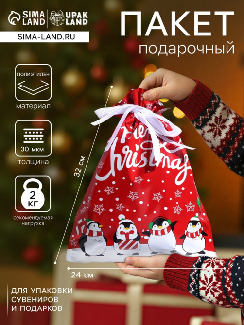 Пакет подарочный новогодний с завязками, «Пингвины», 24×32 см