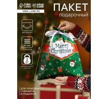 Пакет подарочный новогодний с завязками, «Счастливого рождества», 24×32 см