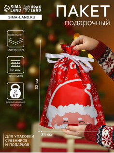 Пакет подарочный новогодний с завязками, «Дед Мороз», 24×32 см