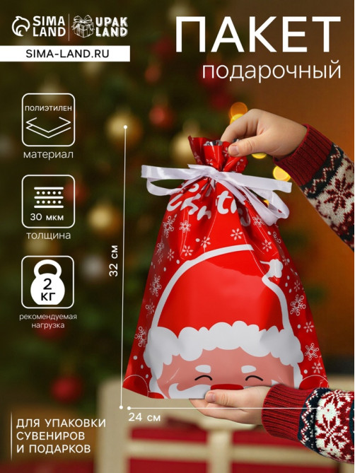 Пакет подарочный новогодний с завязками, «Дед Мороз», 24×32 см