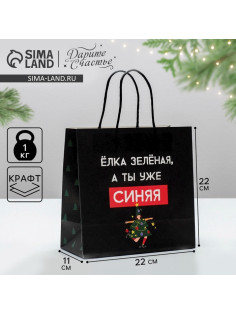 Пакет подарочный новогодний «А ты уже синяя», 22×22×11 см