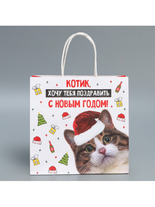 Пакет подарочный новогодний крафтовый «Котик», 22×22×11 см
