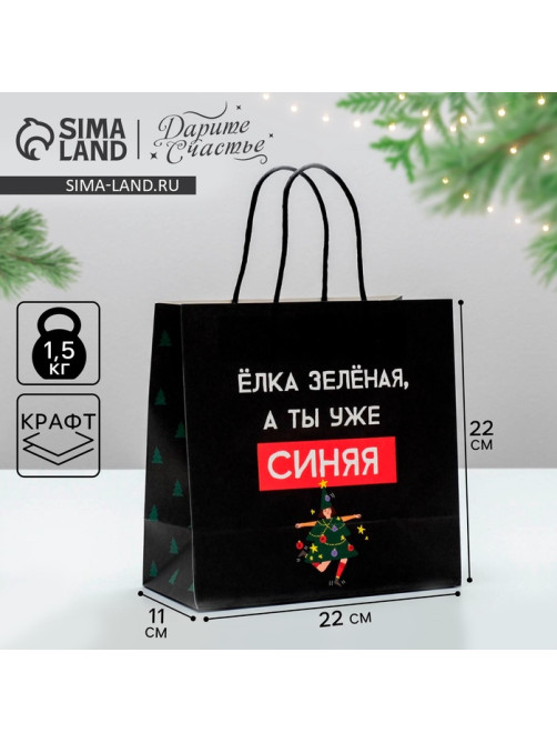 Пакет подарочный новогодний «А ты уже синяя», 22×22×11 см