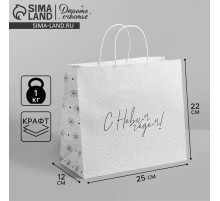 Пакет подарочный новогодний крафт «Чудесный праздник», 25×22×12 см