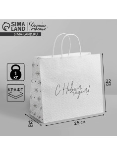 Пакет подарочный новогодний крафт «Чудесный праздник», 25×22×12 см