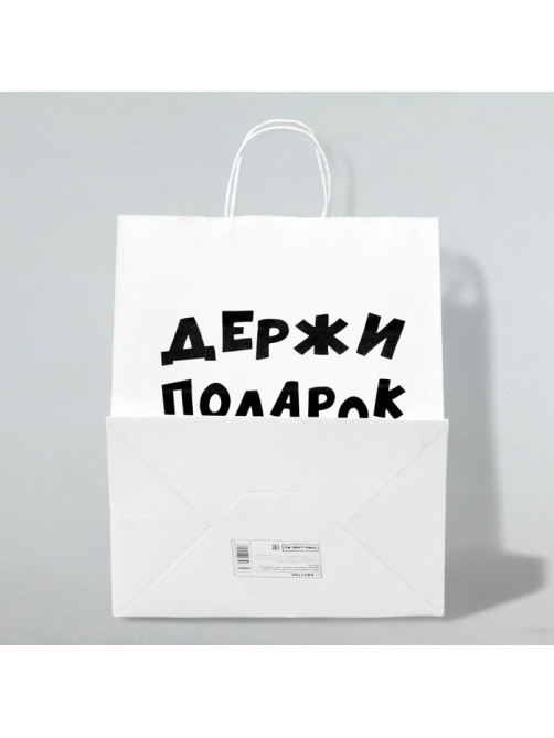 Пакет подарочный с приколами, крафт «Держи подарок», белый, 24×14×28 см