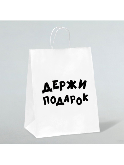 Пакет подарочный с приколами, крафт «Держи подарок», белый, 24×14×28 см
