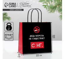 Пакет подарочный новогодний «Деда мороза не существует», 22×22×11 см