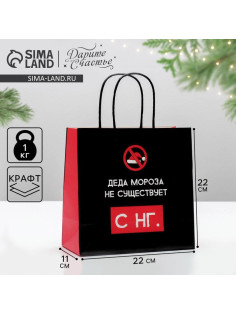 Пакет подарочный новогодний «Деда мороза не существует», 22×22×11 см