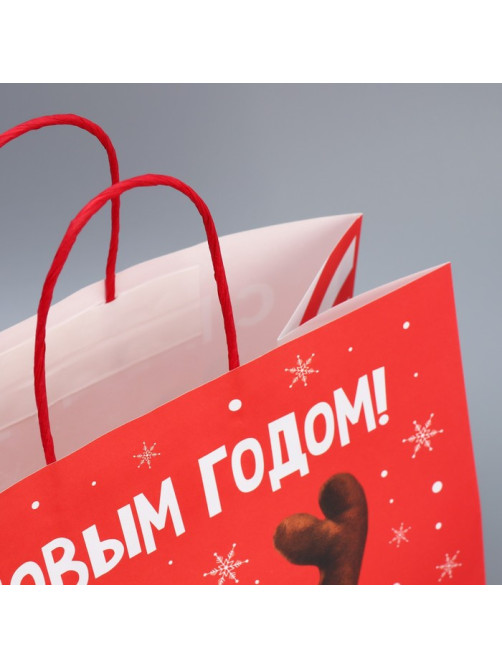 Пакет подарочный новогодний крафтовый «С Новым годом», 28×32×15 см