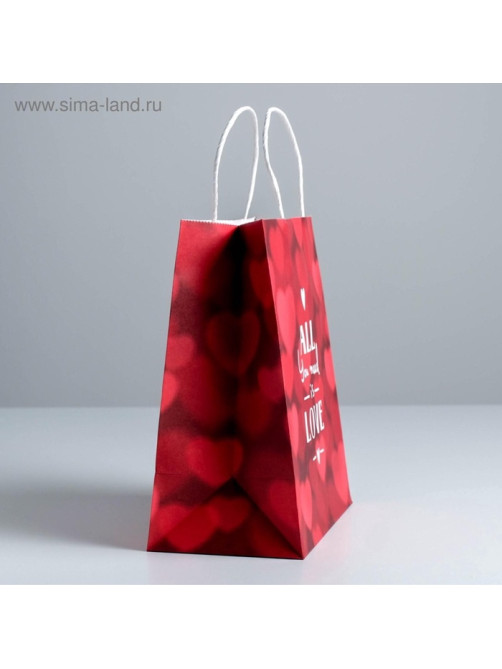 Пакет подарочный крафт, упаковка, All you need is love, 22×25×12 см