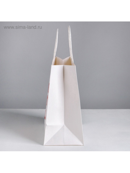 Пакет подарочный, упаковка, «Я люблю тебя», 22×22×11 см