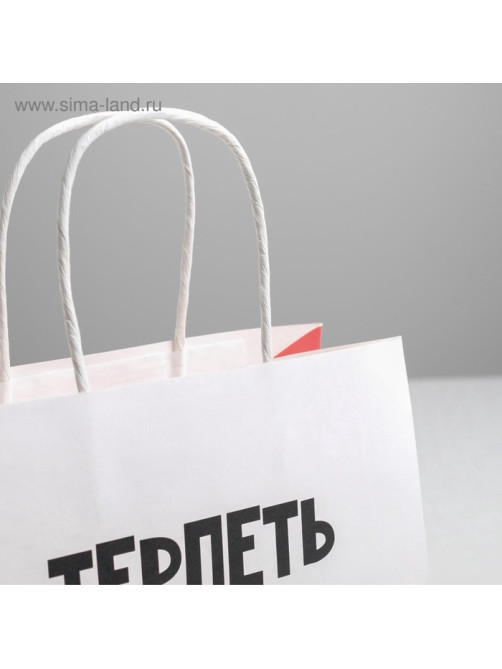 Пакет подарочный, упаковка, «Терпеть тебя не могу», 22×22×11 см