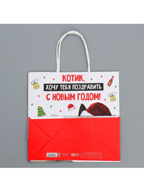 Пакет подарочный новогодний крафтовый «Котик», 22×22×11 см