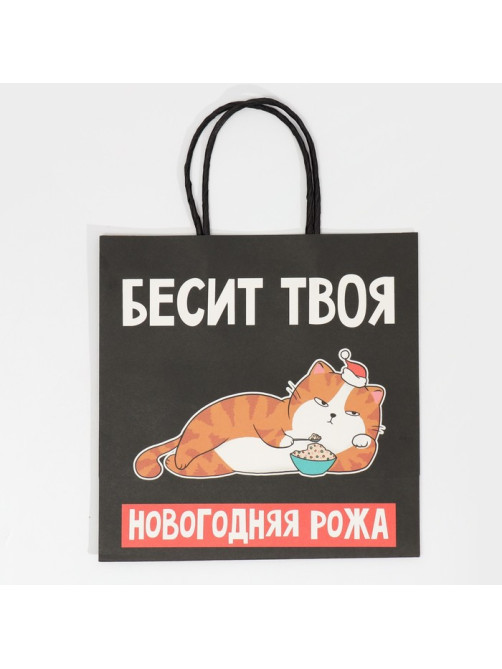 Пакет подарочный новогодний «Рожа», 22×22×11 см