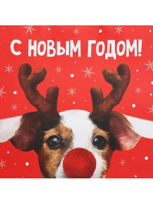 Пакет подарочный новогодний крафтовый «С Новым годом», 28×32×15 см