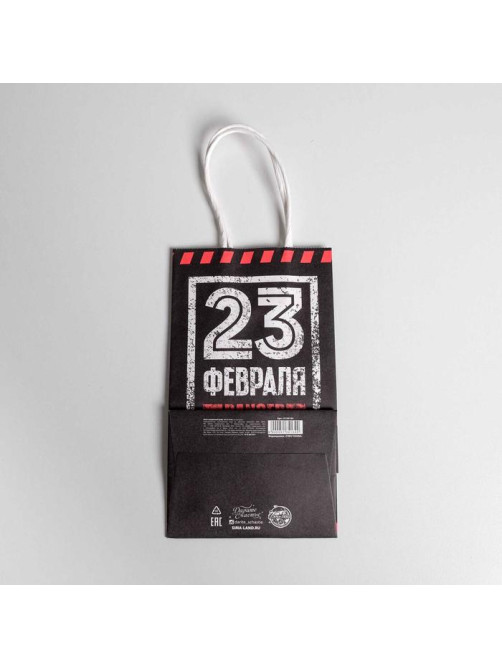 Пакет подарочный крафт, упаковка, «С 23 февраля!», 12×21×9 см