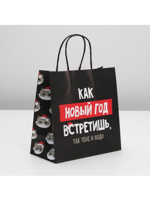 Пакет подарочный новогодний «Так тебе и надо», 22×22×11 см