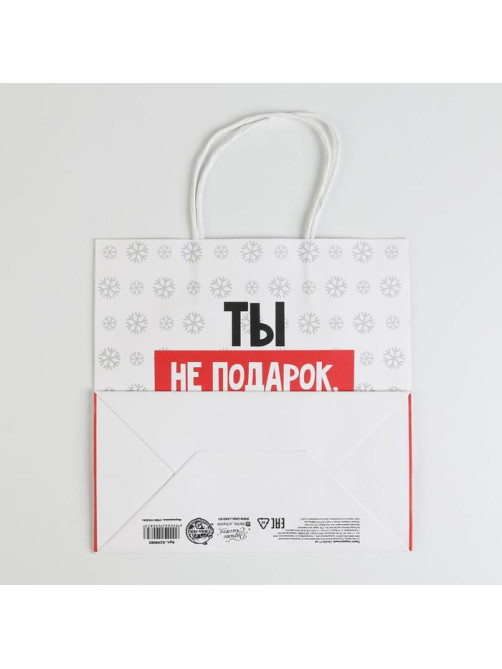 Пакет подарочный новогодний «Ты не подарок», 22×22×11 см