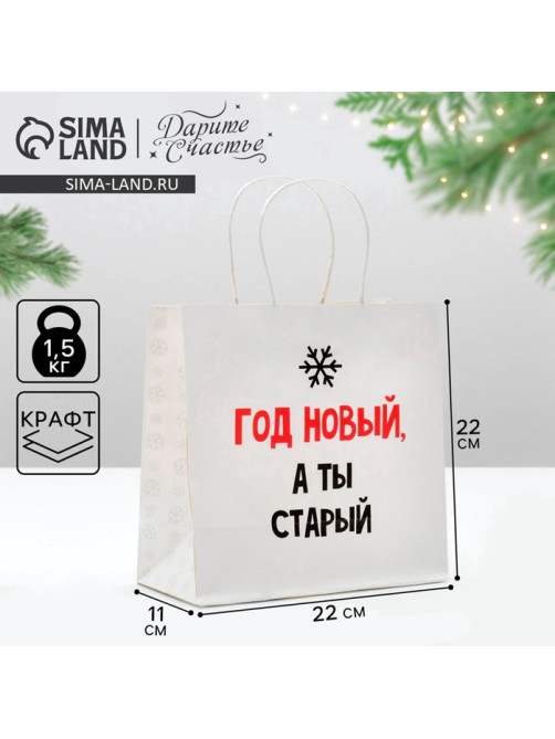 Пакет подарочный новогодний «Год Новый, а ты старый», 22×22×11 см
