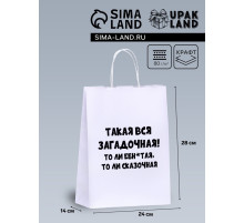 Пакет подарочный с приколами, крафт, «Загадочная», 24×14×28 см
