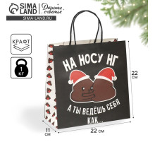 Пакет подарочный новогодний «На носу НГ», 22×22×11 см