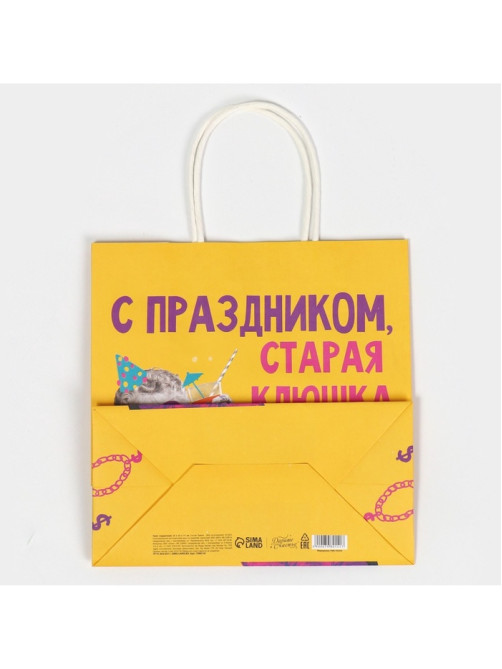 Пакет подарочный «Старая клюшка», 22×22×11 см