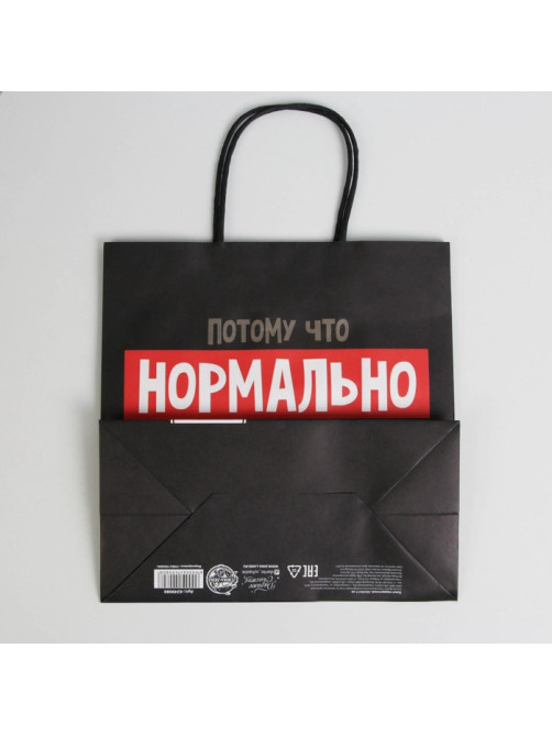 Пакет подарочный новогодний «Нормально надо отвечать», 22×22×11 см