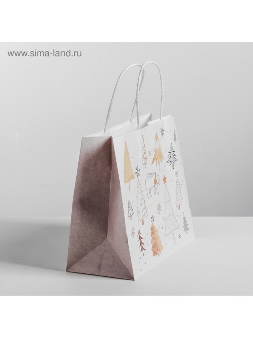 Пакет подарочный новогодний крафт «С Новым годом», 25×22×12 см