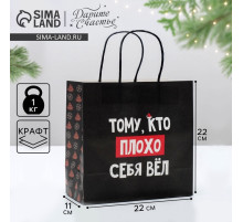 Пакет подарочный новогодний «Кто плохо себя вёл», 22×22×11 см