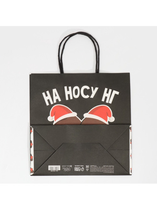 Пакет подарочный новогодний «На носу НГ», 22×22×11 см