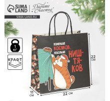 Пакет подарочный новогодний «Косяки наше всё», 22×22×11 см