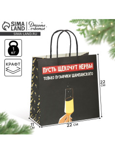 Пакет подарочный новогодний «Только пузырики», 22×22×11 см