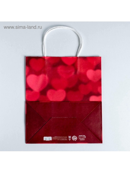 Пакет подарочный крафт, упаковка, All you need is love, 22×25×12 см