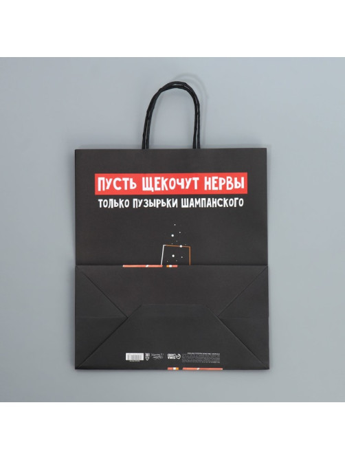 Пакет подарочный новогодний крафтовый «Шампанское», 28×32×15 см