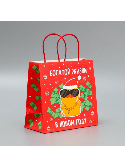 Пакет подарочный новогодний крафтовый «Что-то на богатом», 22×22×11 см