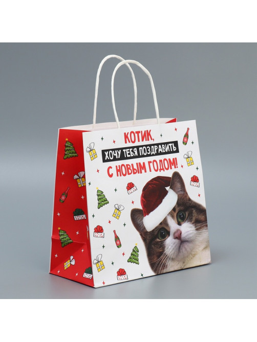 Пакет подарочный новогодний крафтовый «Котик», 22×22×11 см