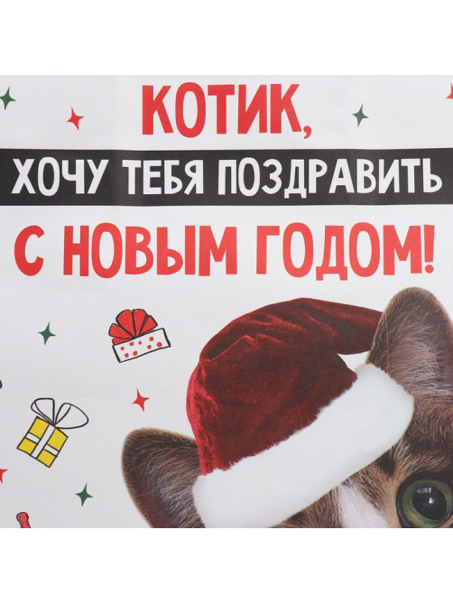 Пакет подарочный новогодний крафтовый «Котик», 22×22×11 см