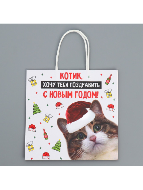 Пакет подарочный новогодний крафтовый «Котик», 22×22×11 см