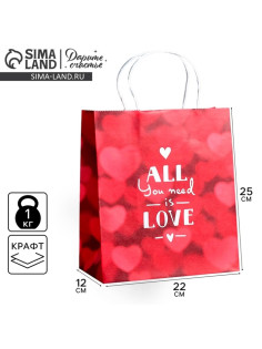 Пакет подарочный крафт, упаковка, All you need is love, 22×25×12 см