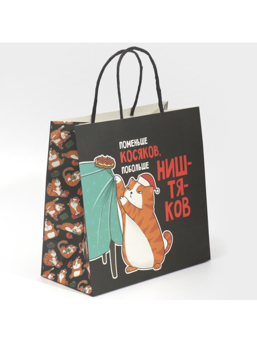 Пакет подарочный новогодний «Косяки наше всё», 22×22×11 см