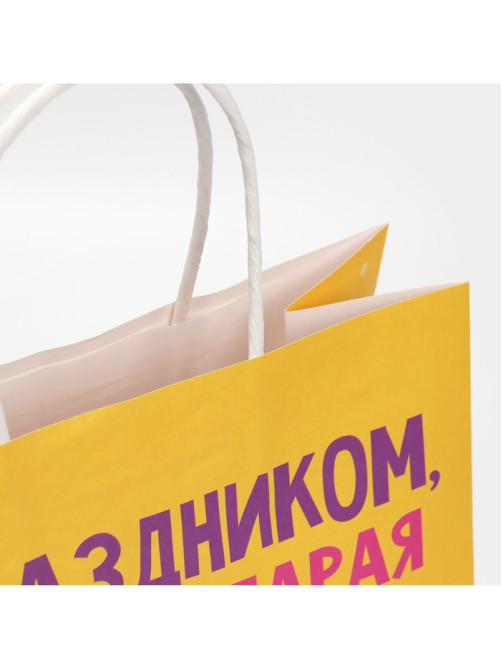 Пакет подарочный «Старая клюшка», 22×22×11 см