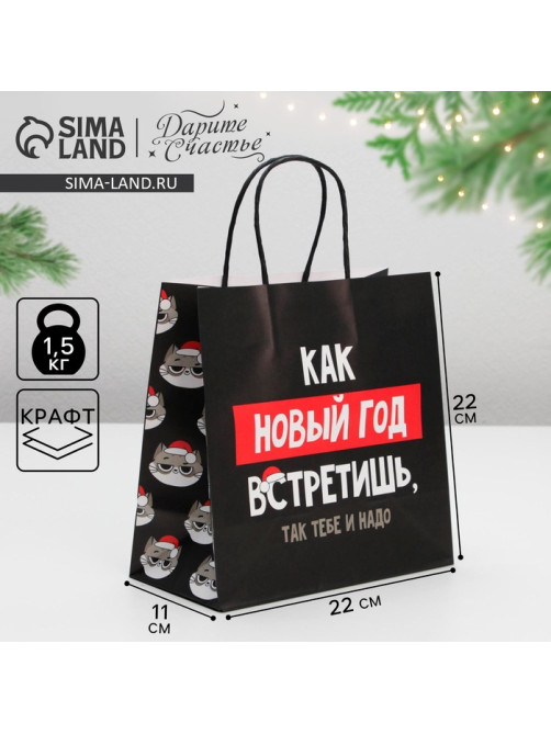Пакет подарочный новогодний «Так тебе и надо», 22×22×11 см