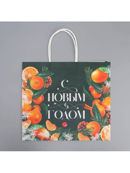 Пакет подарочный новогодний крафтовый «Новогодняя суета», 25×22×12 см