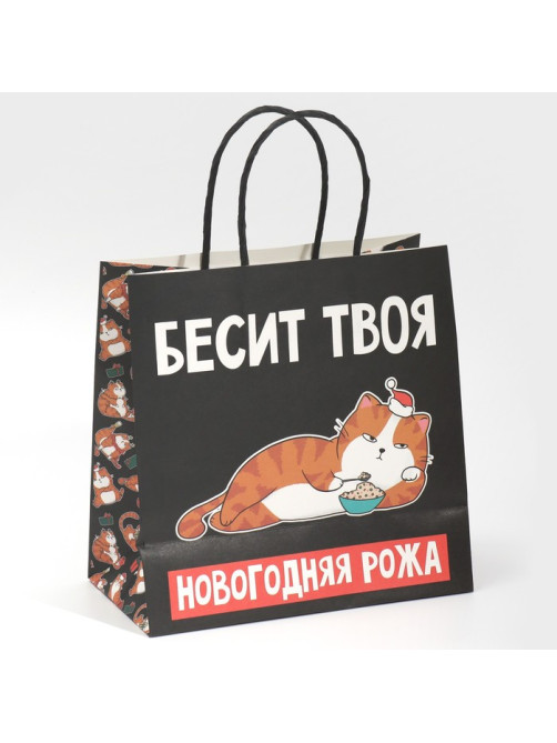 Пакет подарочный новогодний «Рожа», 22×22×11 см