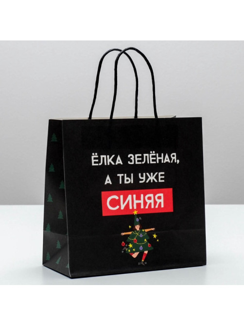 Пакет подарочный новогодний «А ты уже синяя», 22×22×11 см