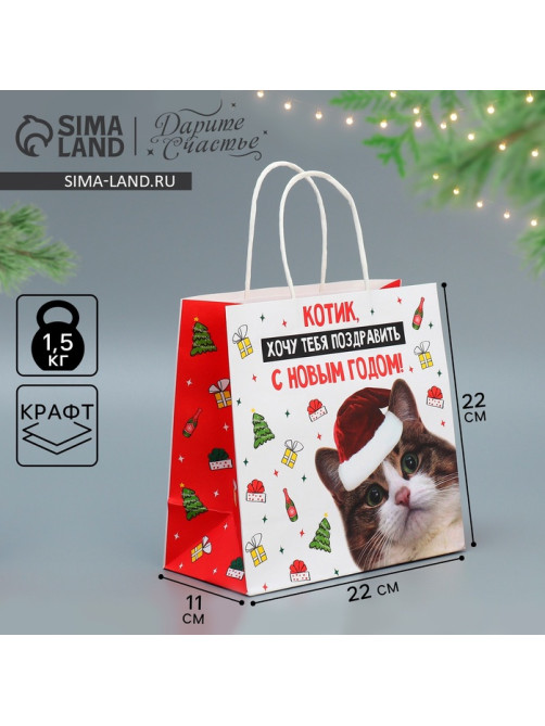 Пакет подарочный новогодний крафтовый «Котик», 22×22×11 см