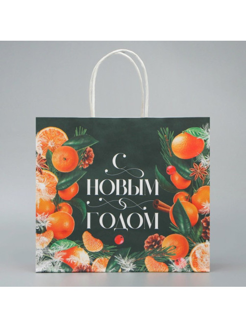 Пакет подарочный новогодний крафтовый «Новогодняя суета», 25×22×12 см