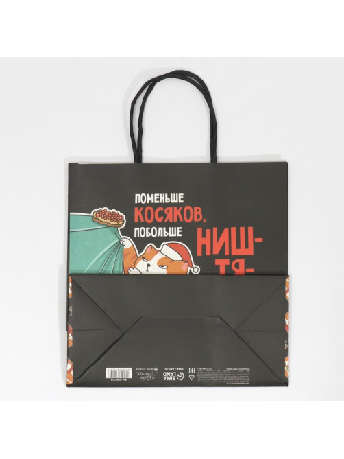 Пакет подарочный новогодний «Косяки наше всё», 22×22×11 см