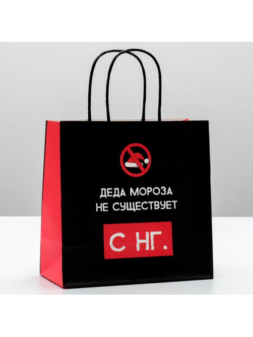 Пакет подарочный новогодний «Деда мороза не существует», 22×22×11 см